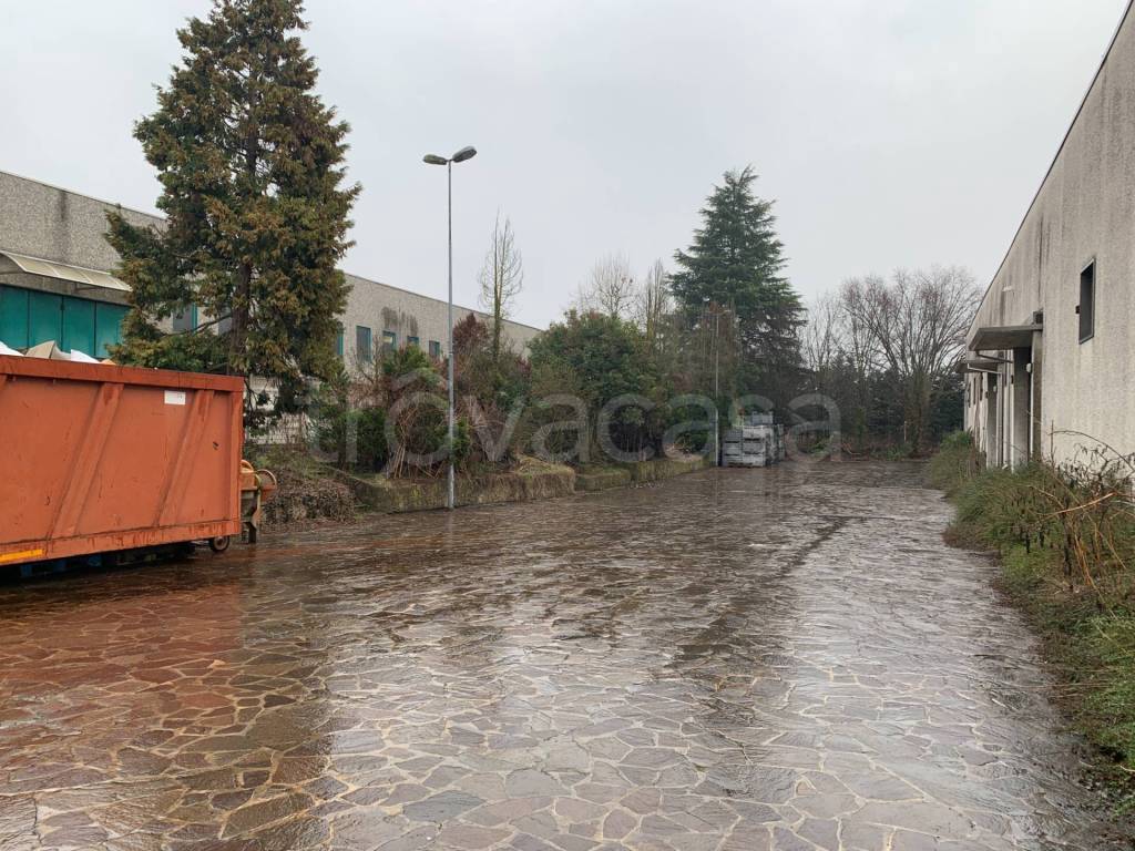 immagine annuncio 7 di 15