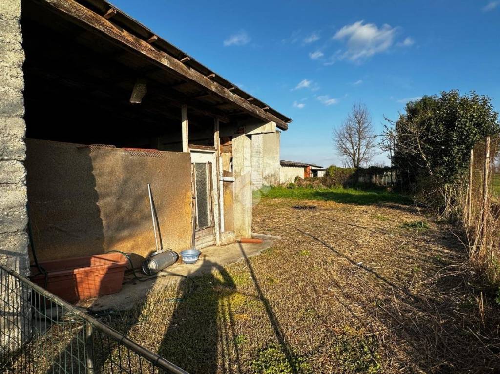 immagine annuncio 5 di 15