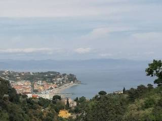 Terreno agricolo in vendita a savona via ranco