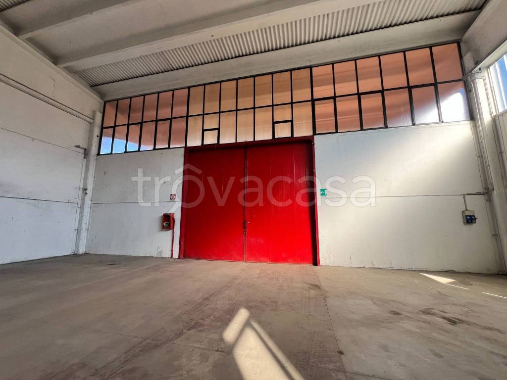 immagine annuncio 8 di 13