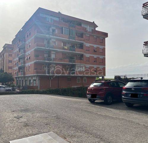 immagine annuncio 2 di 11