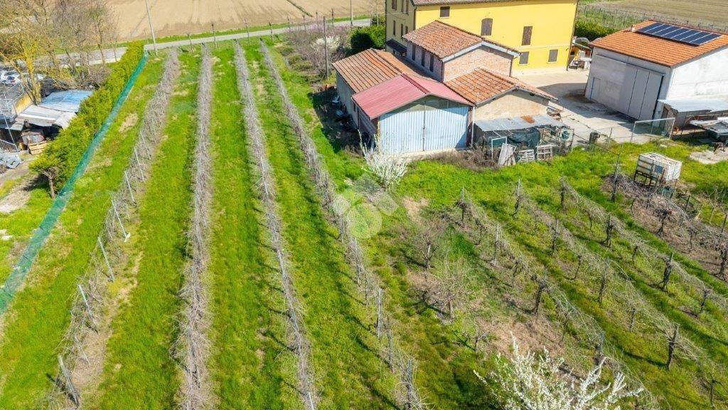 immagine annuncio 3 di 7