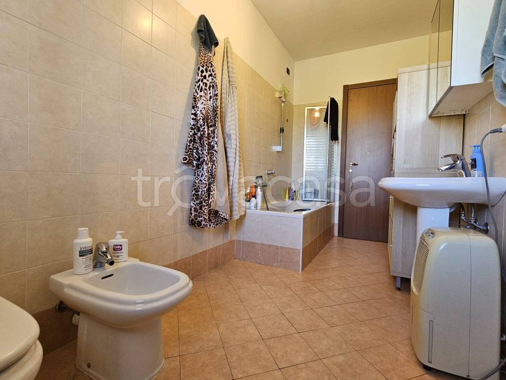 immagine annuncio 11 di 14