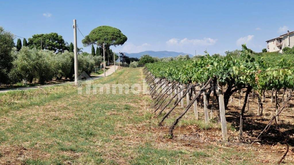 immagine annuncio 2 di 8