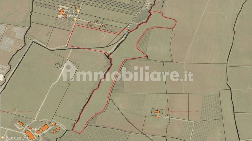 immagine annuncio 3 di 8
