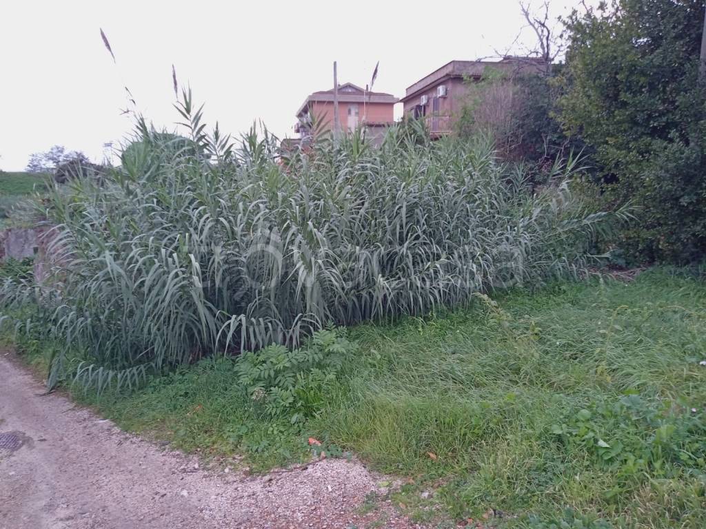 immagine annuncio 4 di 7