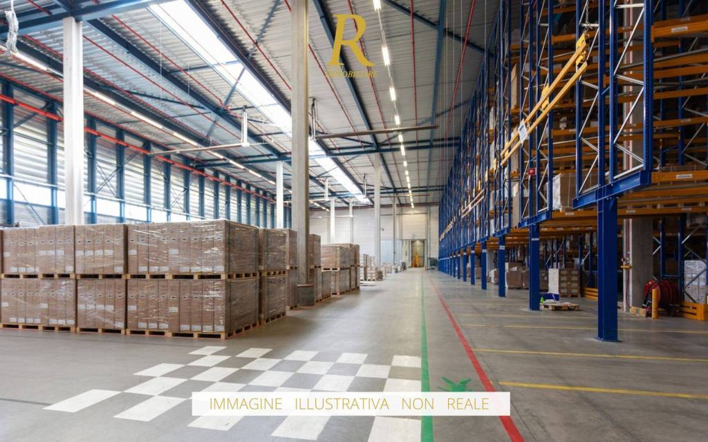 immagine annuncio 9 di 10