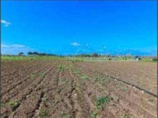 Terreno agricolo all'asta a latina strada pantanello