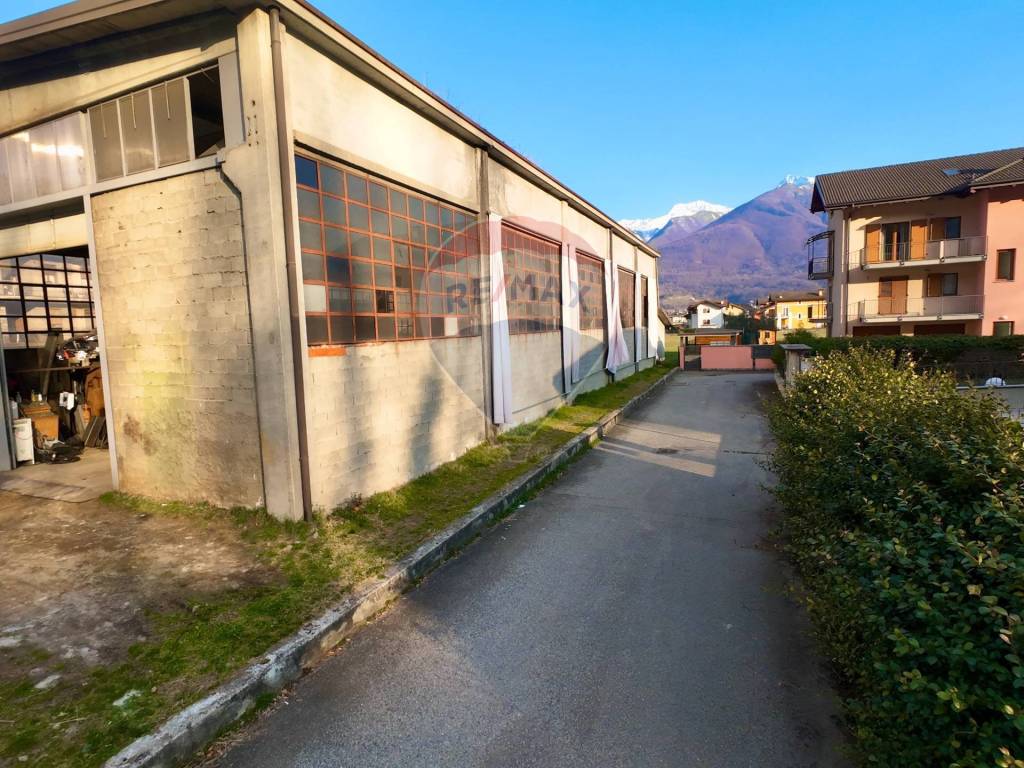 immagine annuncio 5 di 15