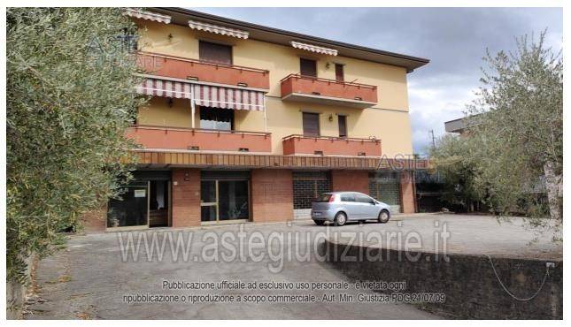 immagine annuncio 2 di 11