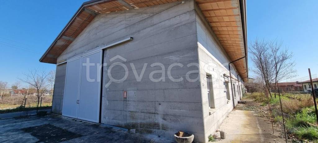 immagine annuncio 1 di 12