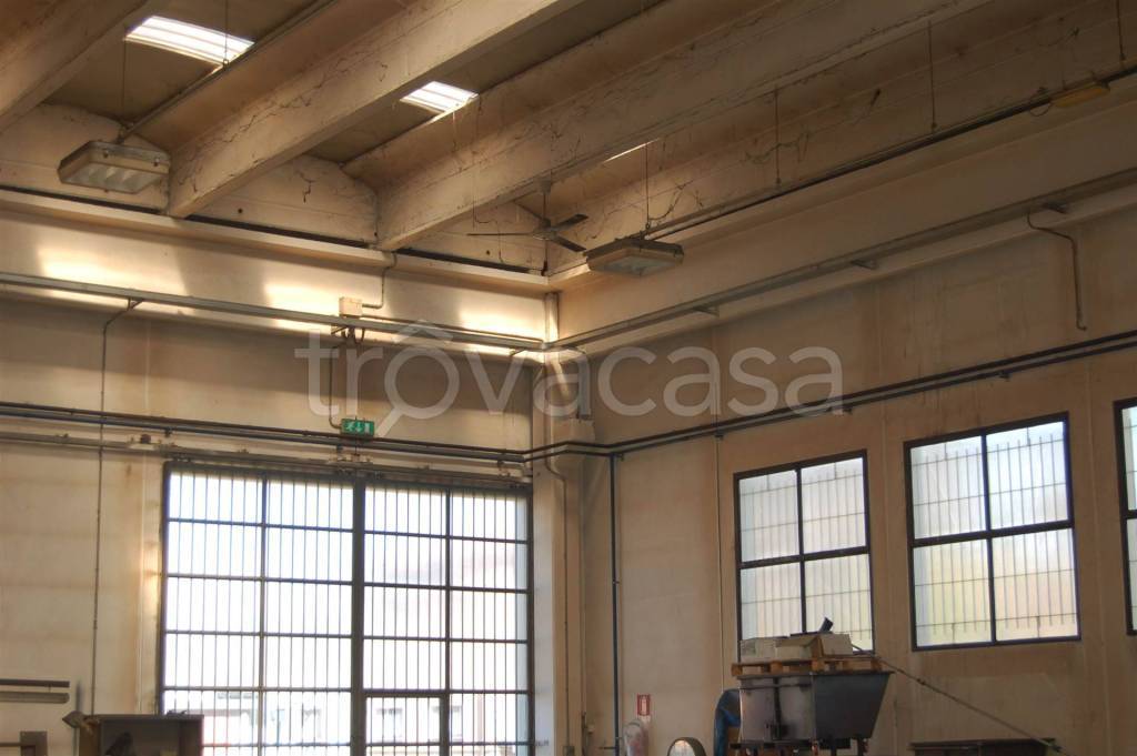 immagine annuncio 3 di 9