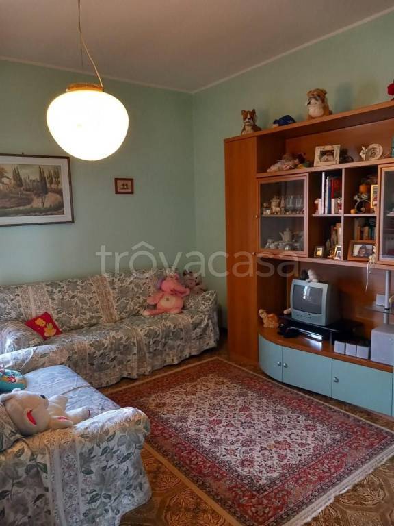 immagine annuncio 9 di 15