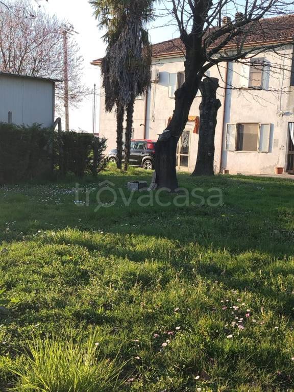 immagine annuncio 2 di 11