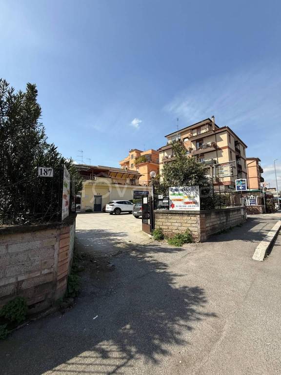 immagine annuncio 3 di 8