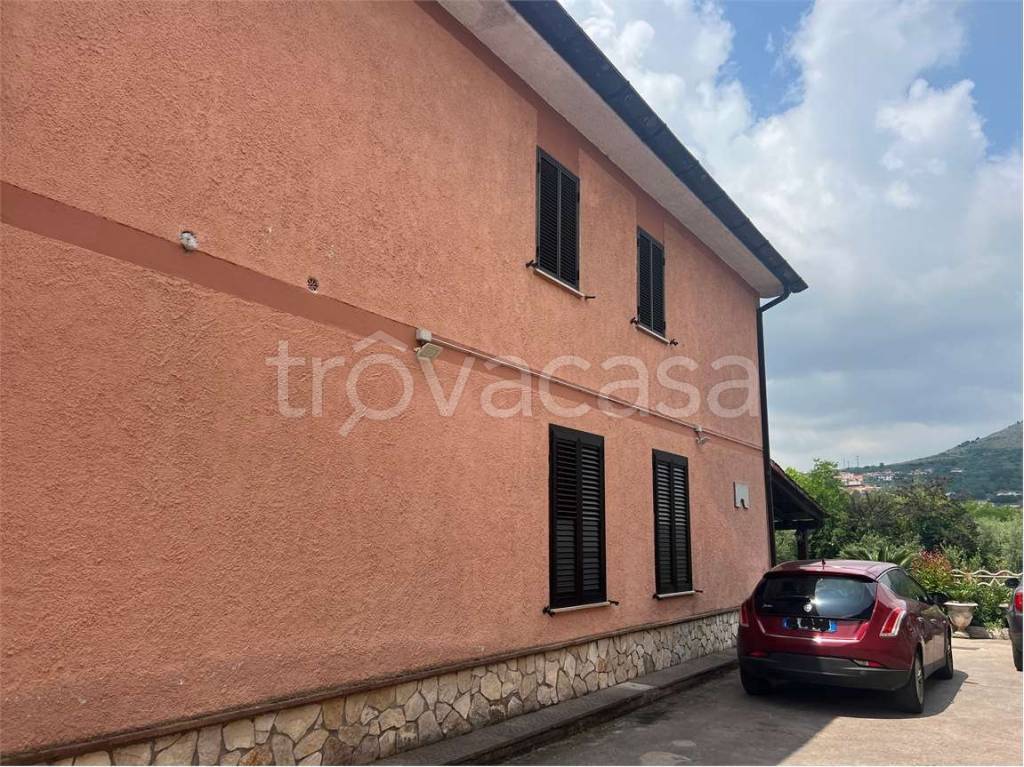 immagine annuncio 4 di 8