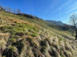 Terreno agricolo all'asta a san pellegrino terme località frasnadello