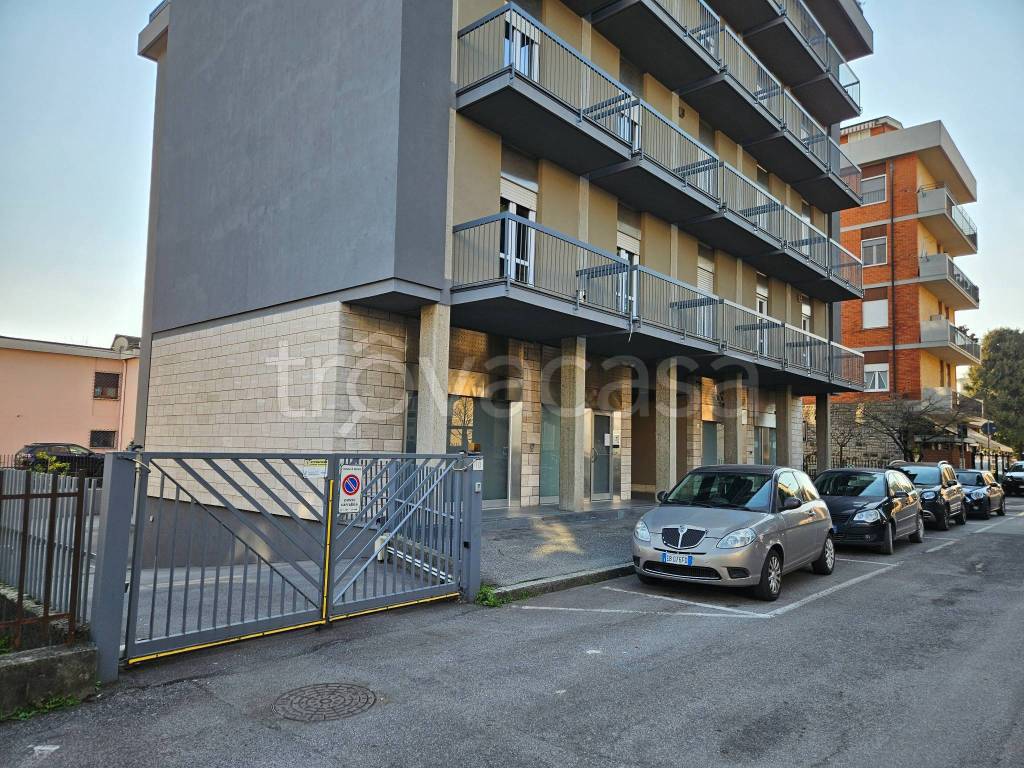 immagine annuncio 4 di 7