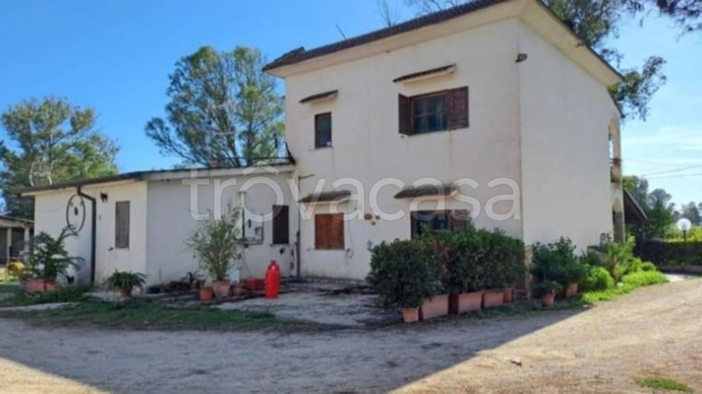 immagine annuncio 11 di 14