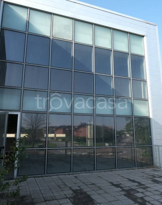 immagine annuncio 11 di 13