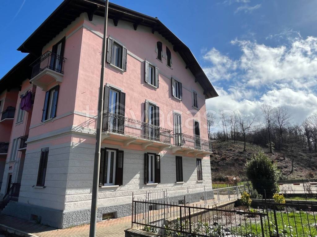 immagine annuncio 6 di 7