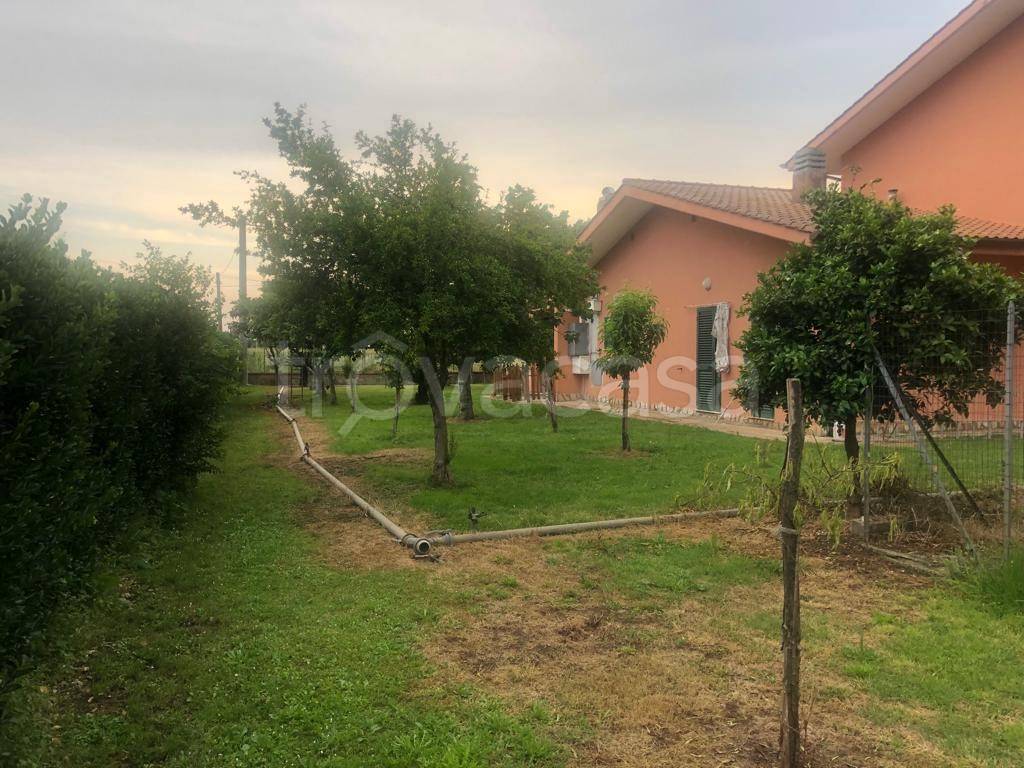 immagine annuncio 6 di 8