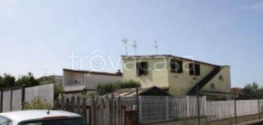 immagine annuncio 10 di 14