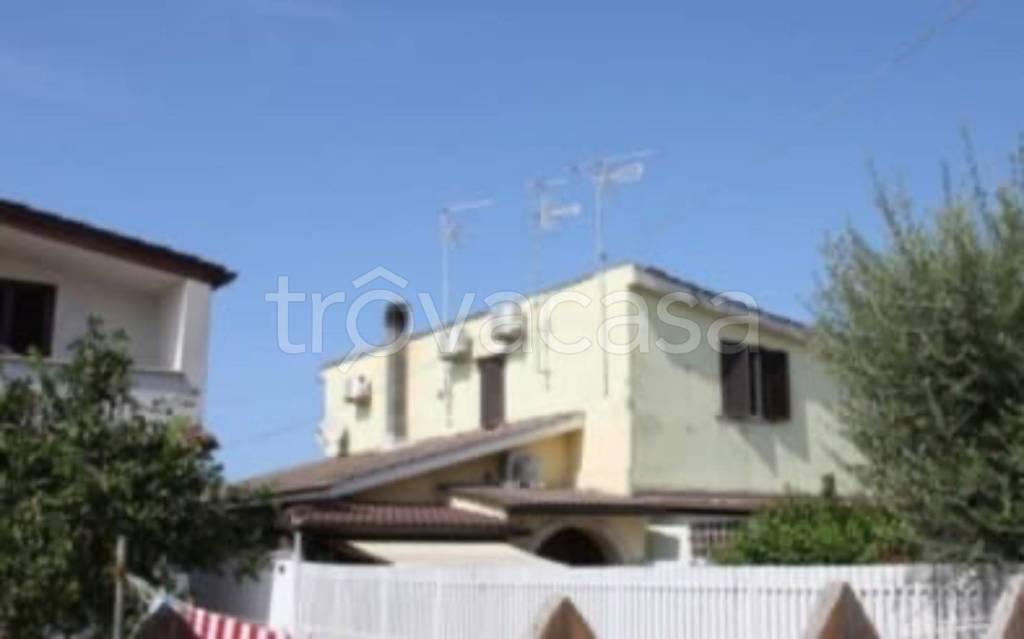 immagine annuncio 11 di 14