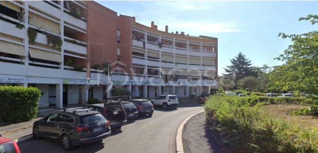 immagine annuncio 5 di 14