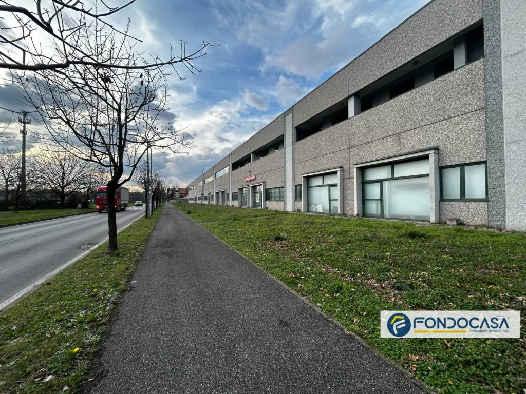 immagine annuncio 2 di 15