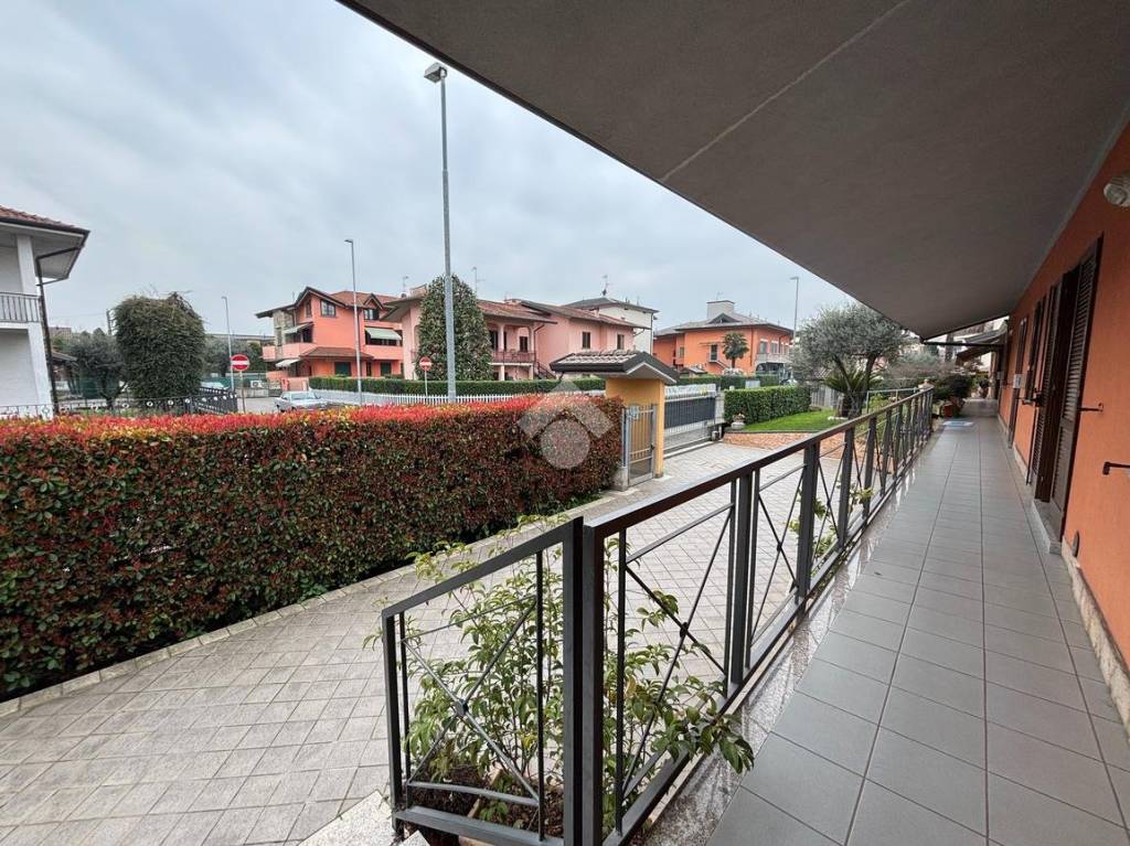immagine annuncio 4 di 15