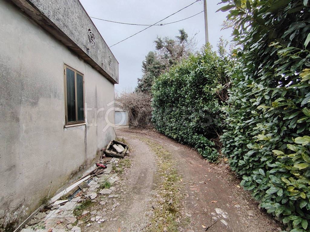 immagine annuncio 4 di 9