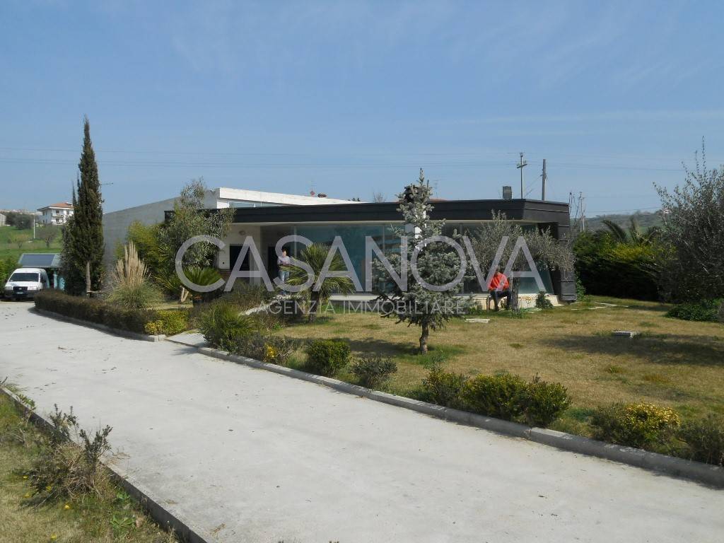 immagine annuncio 2 di 12