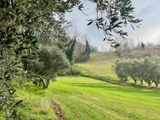 Terreno agricolo in vendita a civitella del tronto strada provinciale fondovalle salinello