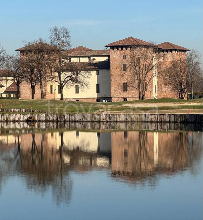 immagine annuncio 1 di 11