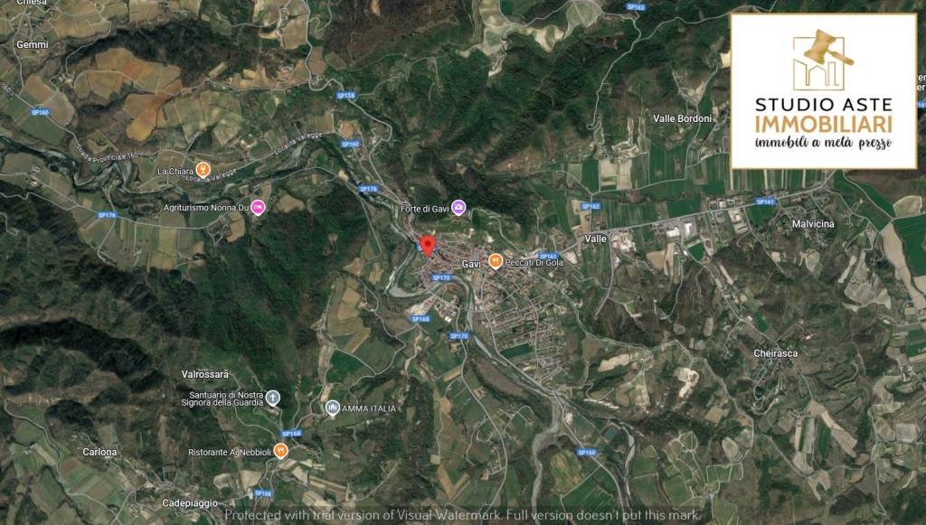 immagine annuncio 12 di 15