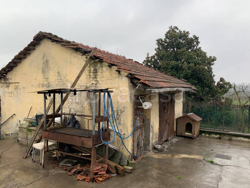 immagine annuncio 7 di 15