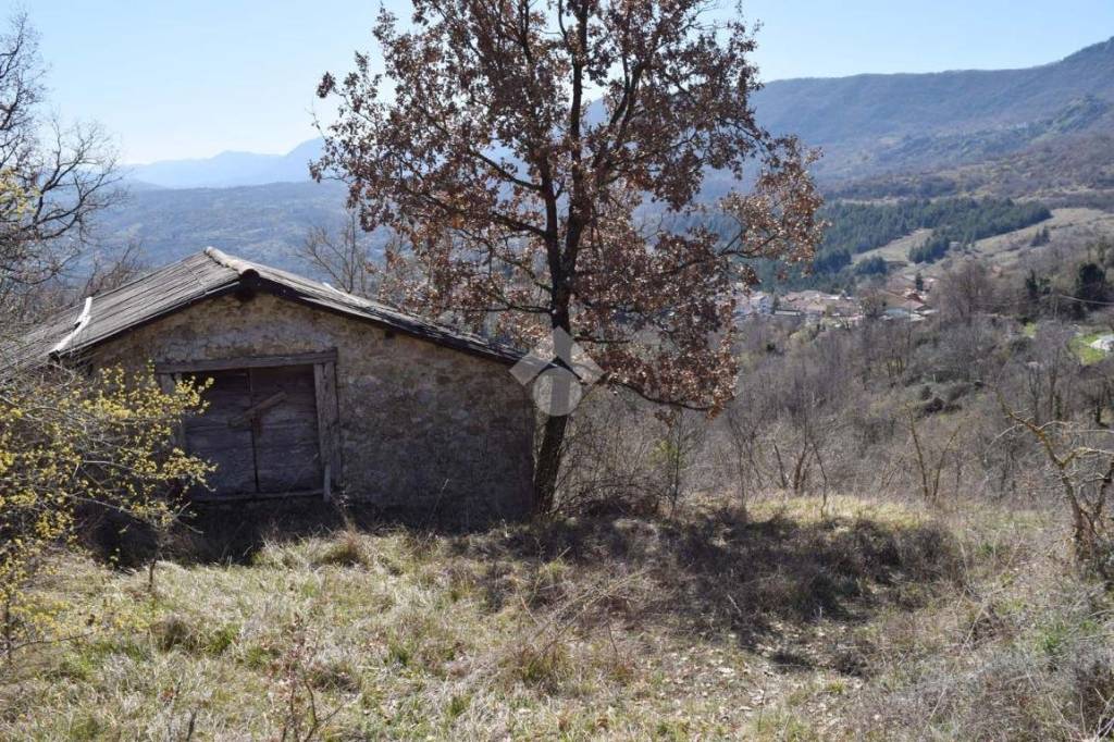 immagine annuncio 1 di 9