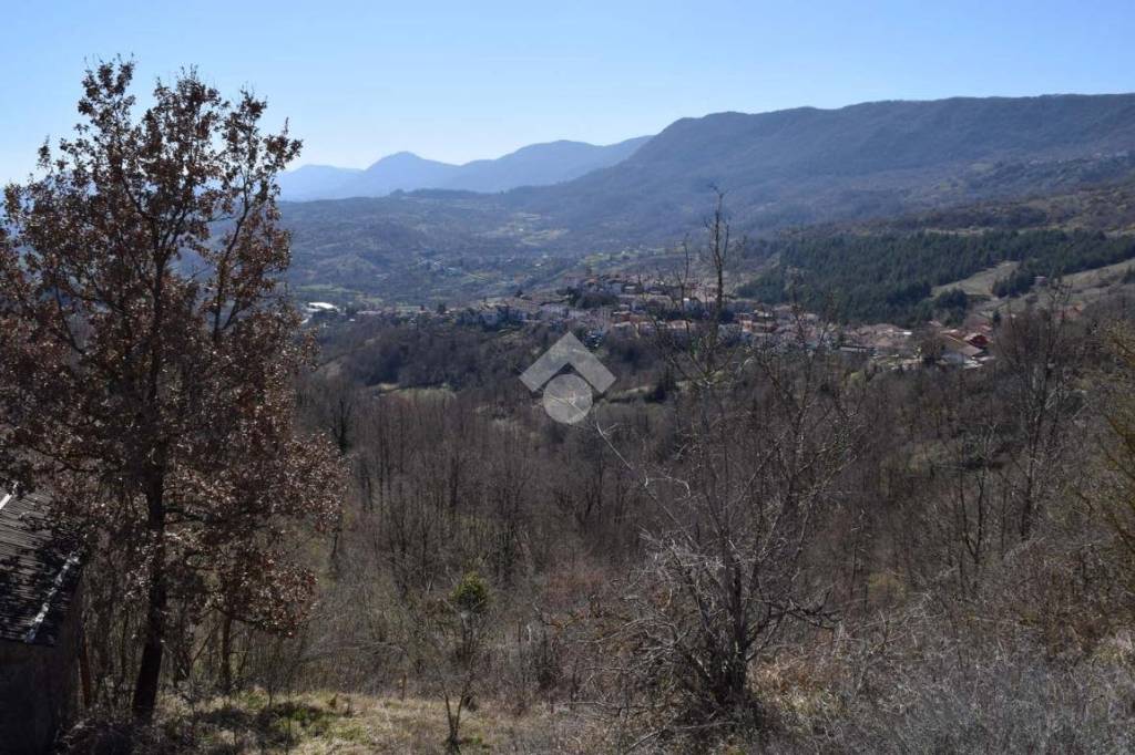 immagine annuncio 7 di 9