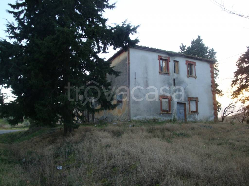 immagine annuncio 4 di 8