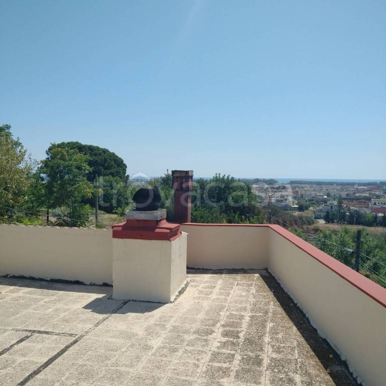 immagine annuncio 7 di 14