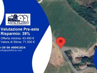 Terreno agricolo all'asta a brisighella via bicocca, 36