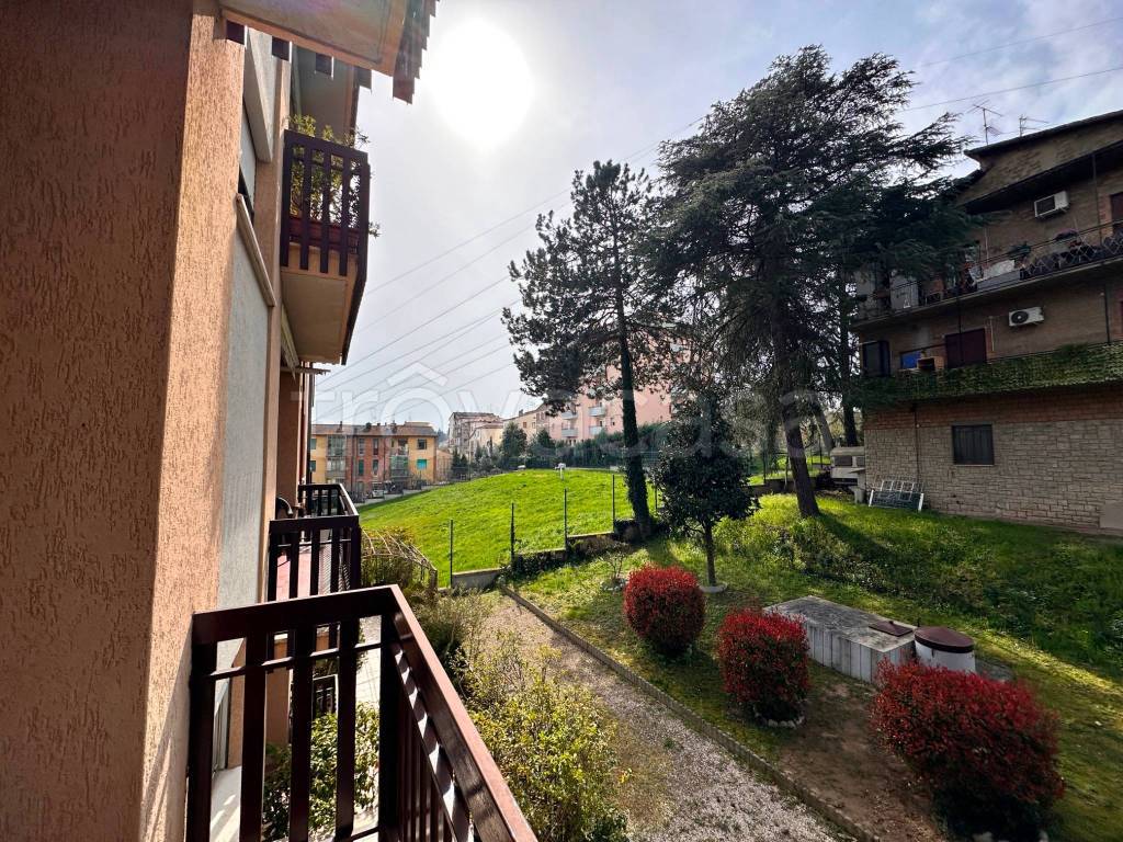 immagine annuncio 9 di 14