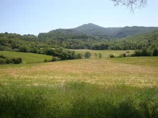 Terreno residenziale in vendita a riparbella 