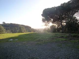 Terreno residenziale in vendita a riparbella 