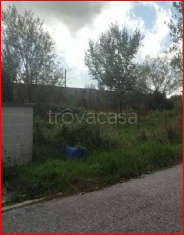 immagine annuncio 6 di 11