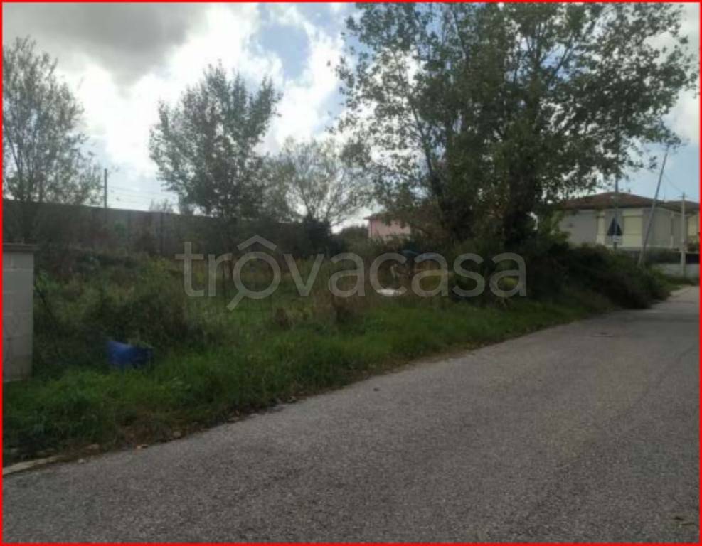 immagine annuncio 7 di 11