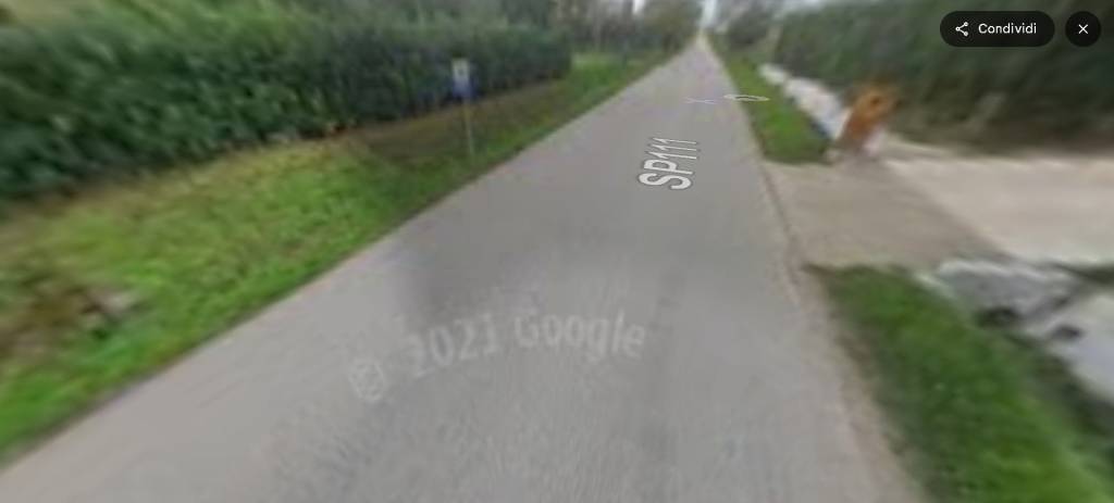 immagine annuncio 9 di 14