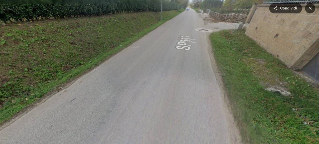 immagine annuncio 11 di 14