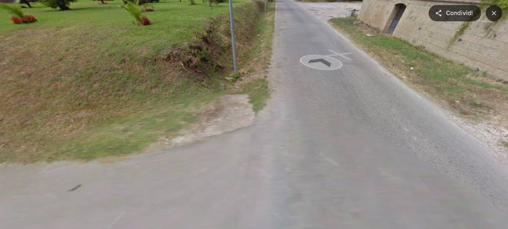 immagine annuncio 12 di 14